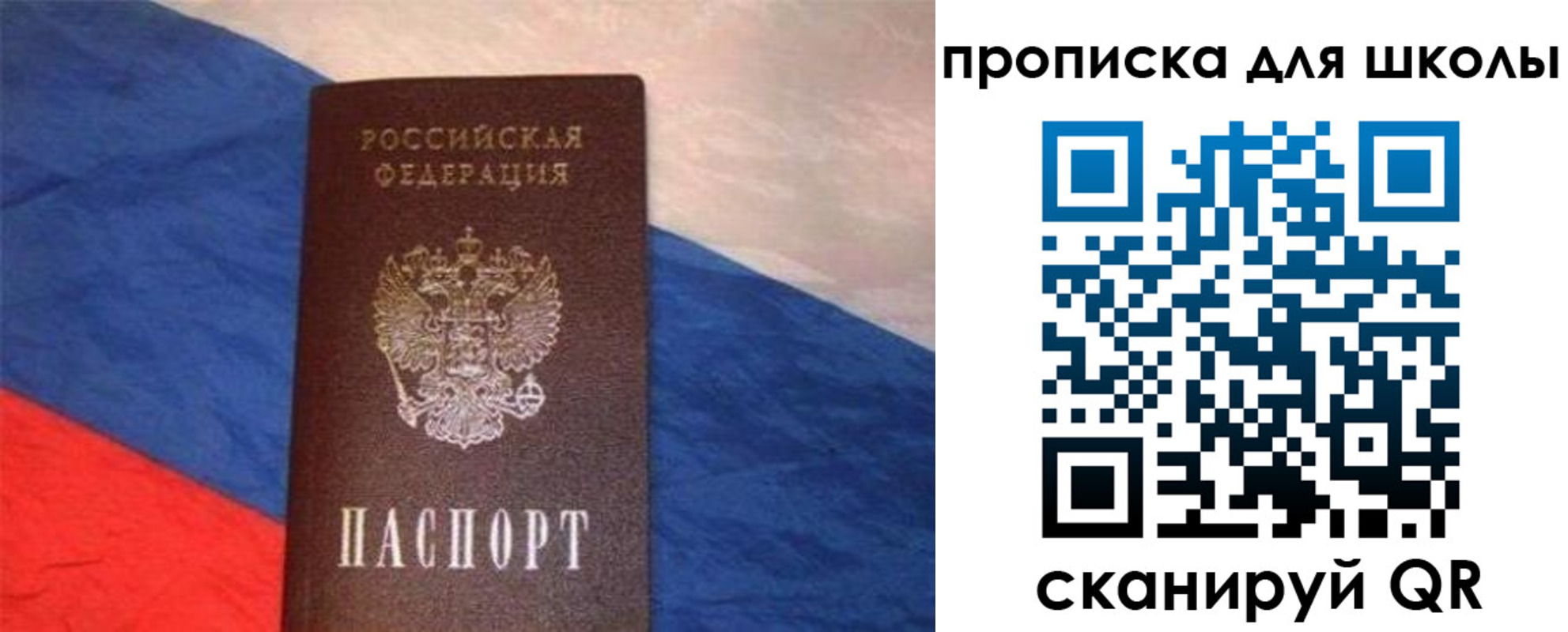прописка поиск в Петропавловске-Камчатском